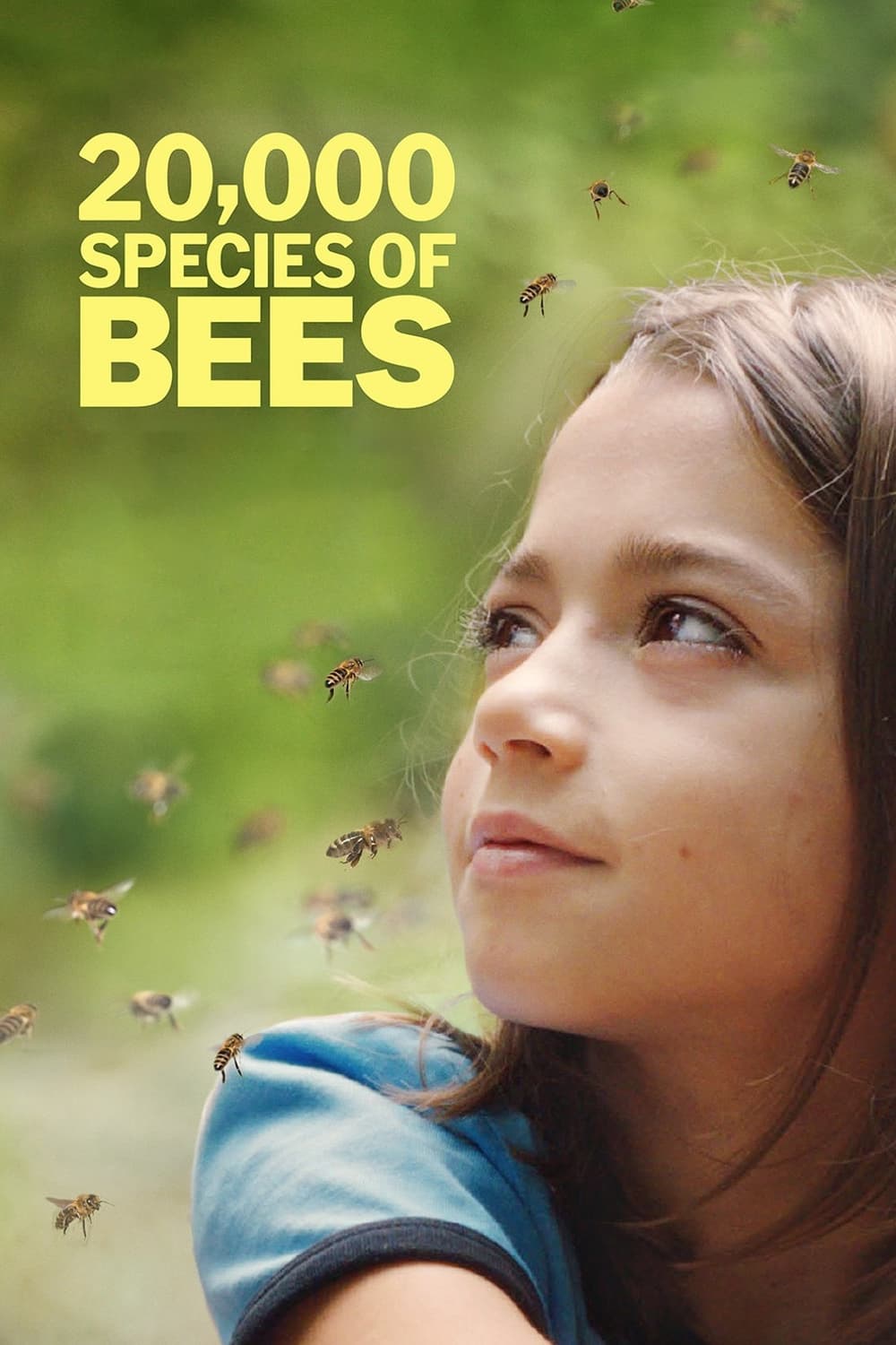 20,000 Species of Bees